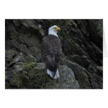 Eagle Tarjeton