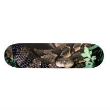 easterntimberrattler patin