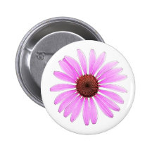 Echinaceas por todas partes pin