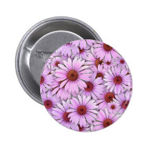 Echinaceas por todas partes pins