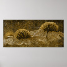 Echinatious Posters