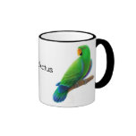 Eclectus repite mecánicamente la taza