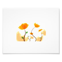 Eco gráfico design.png de la flor anaranjada fotografia