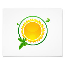 eco verde design.png de las mariposas del círculo  arte con fotos