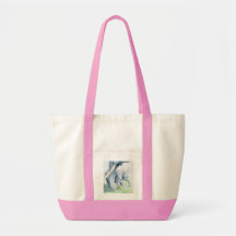 Eco y Espirit Bolsas De Mano