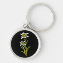 Edelweiss elegante florece el llavero