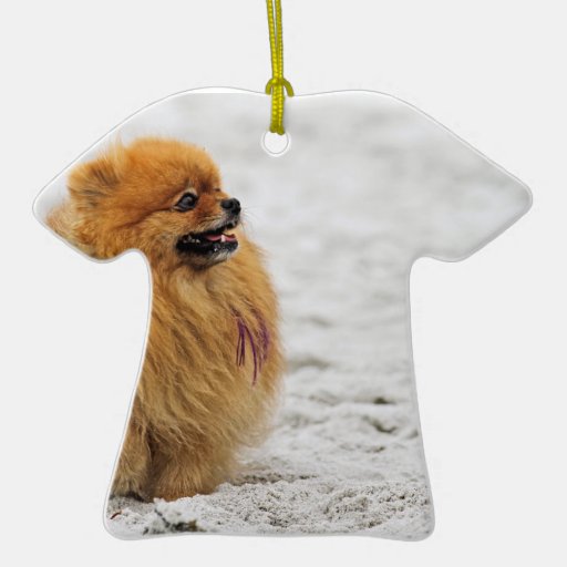 Edgrrrr #3 - Pomeranian Adorno De Navidad