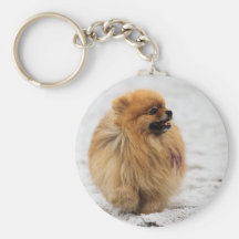 Edgrrrr #3 - Pomeranian Llavero