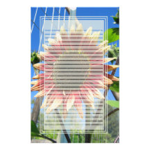 Efectos de escritorio alineados cerca del girasol papeleria de diseño