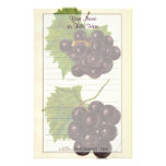 Efectos de escritorio de las uvas del vintage papelería de diseño