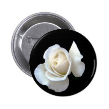 Efectos de escritorio del boda del rosa blanco pins