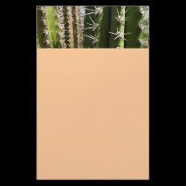 Efectos de escritorio del cactus de barril papeleria