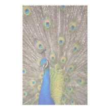 Efectos de escritorio del pavo real papelería
