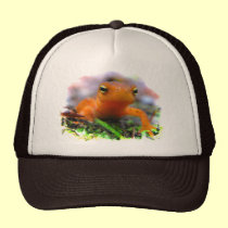 Eft rojo gorras