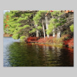 Egde colorido 10 x impresión fotográfica 8 fotografía