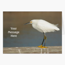 Egret adaptable en blanco en la tarjeta de felicit tarjetas