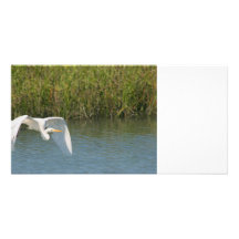 Egret blanco que vuela sobre hierba del agua tarjetas personales con fotos