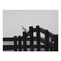 Egret en la foto de los carriles