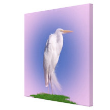 Egret en rosa lona envuelta para galerias