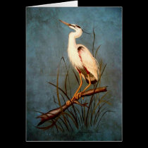Egret tarjetas