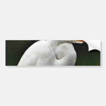 Egrets Etiqueta De Parachoque