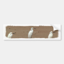 Egrets que callejean en la playa etiqueta de parachoque