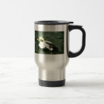 Eíder con gafas taza de café