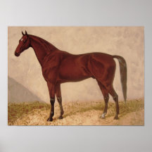 Ejemplo árabe del caballo del vintage del poster