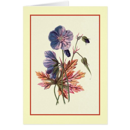 "Ejemplo botánico de Cranesbill del prado" Felicitacion