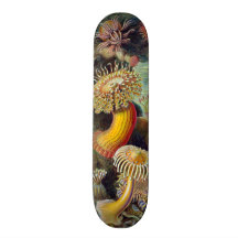 Ejemplo científico de las anémonas de mar del vint patinetas personalizadas