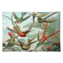 Ejemplo científico de los colibríes del vintage mantel individual