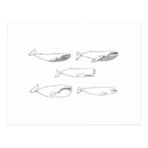 Ejemplo de las ballenas (línea arte) postal