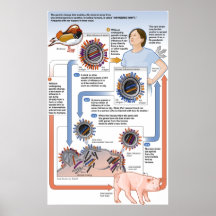 Ejemplo del cambio antigénico poster