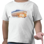 Ejemplo del zepelín que estalla en las llamas camiseta