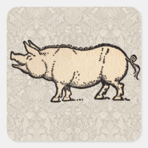Ejemplo guarro de la antigüedad del cerdo del vint calcomanías cuadradases
