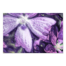 Ejemplo púrpura de la flor impresiones fotográficas