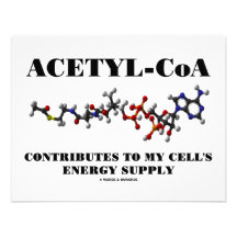 El Acetilo-CoA contribuye al suministro de energía Comunicado Personalizado