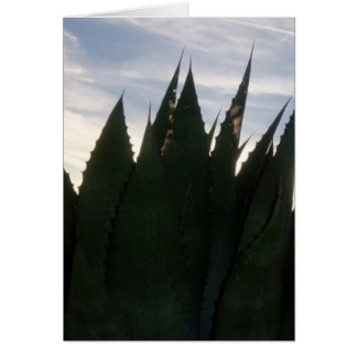 El agavo se eleva súbitamente tarjeta de felicitac