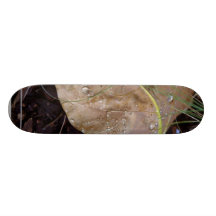 El agua cae la hoja 3 monopatin personalizado