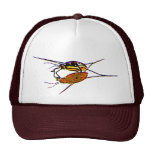 El agua Strider ve su sombra Gorro