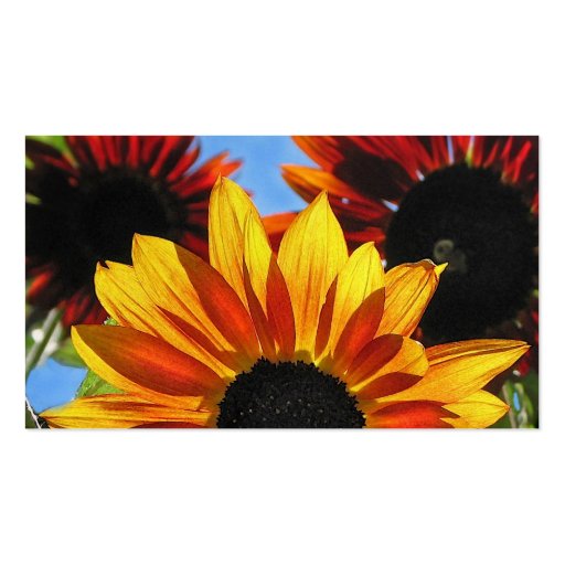 El ajardinar de la sol plantilla de tarjeta de negocio
