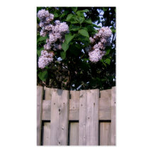 El ajardinar/tarjeta de visita de las lilas del cu