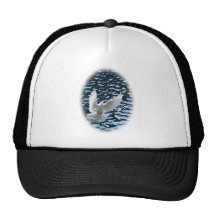 El alcohol y el agua gorra