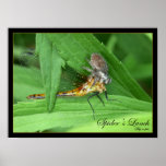 El almuerzo de la araña posters