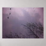 El alto altísimo es su naturaleza - tres pájaros T Posters