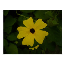 El amarillo florece la postal del |