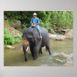El AMI del elefante y de Mahout-Chiang, impresión  Posters
