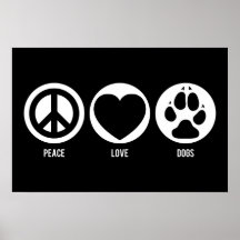 El amor de la paz persigue el poster