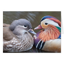 El "amor Ducks" Notecard Tarjetas