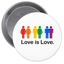 El amor es amor pins